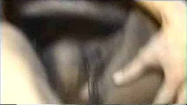 Man fuck mare porn