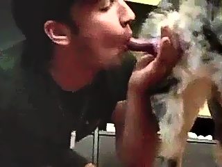 Man sucking off dog compilation