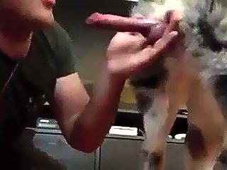 Man sucking off dog compilation