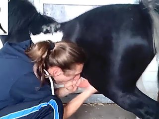 Man sucking horse cock