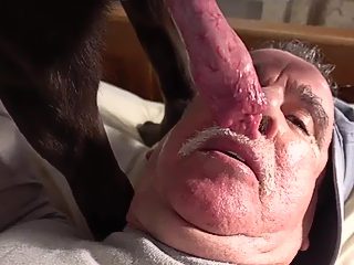 Man sucking dogs dick
